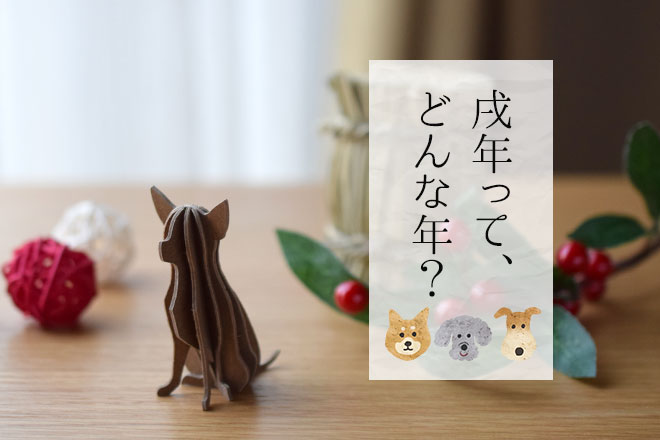 2018年まであと少し。戌年って、どんな年?