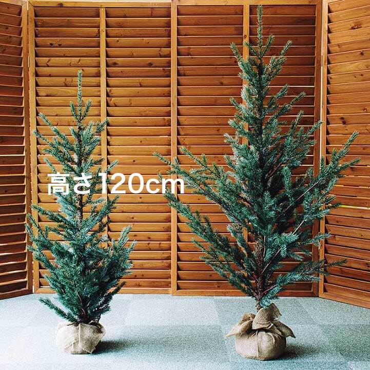 クリスマスツリー120cm＜特典付き＞