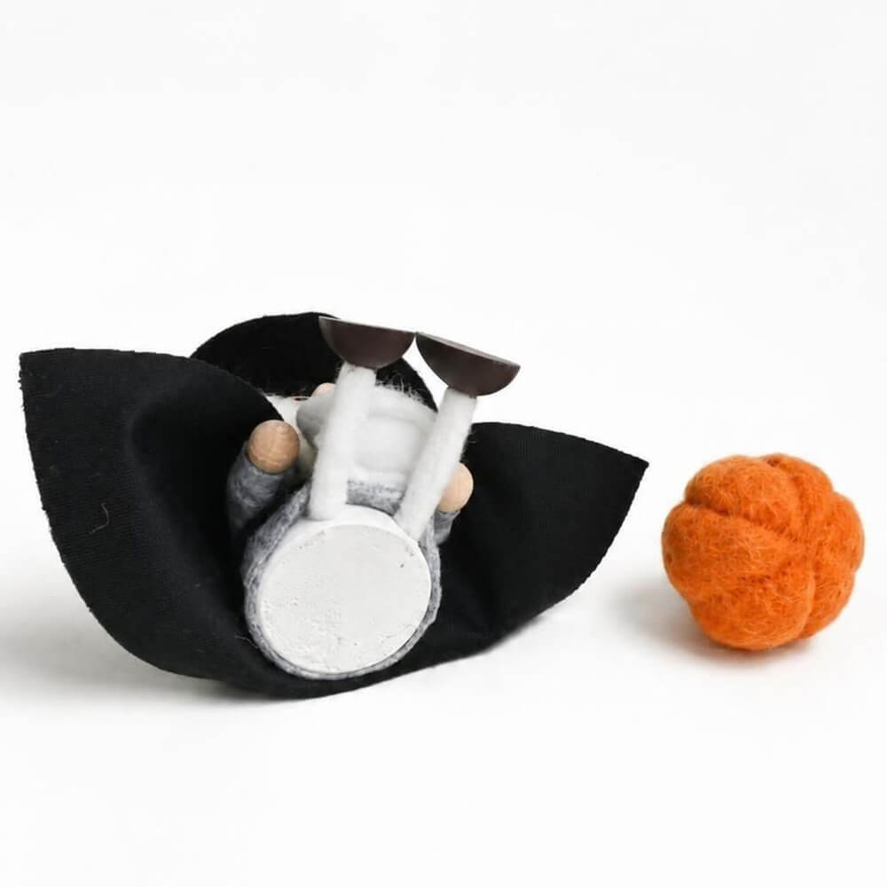 ハロウィン　おばけを抱えたキラキラ帽子の魔法使いサンタ ＆ フェルトのミニかぼちゃセット　te-nori限定　ノルディカニッセ【10月上旬～中旬発送予定】