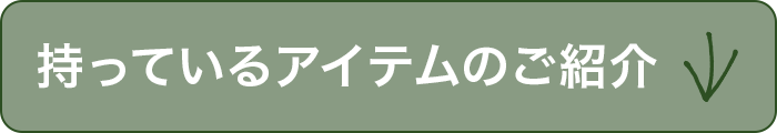持っているアイテムのご紹介