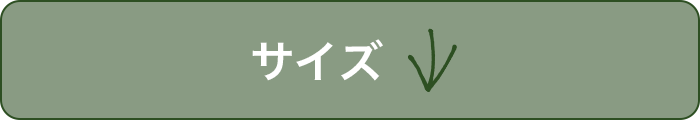 サイズ