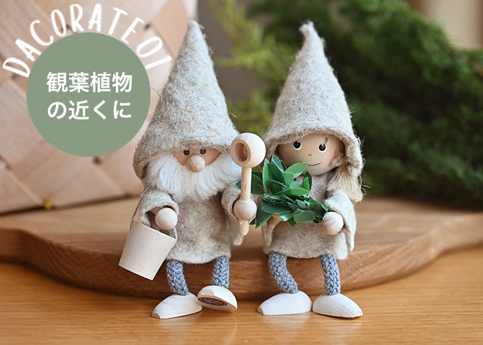観葉植物の近くに