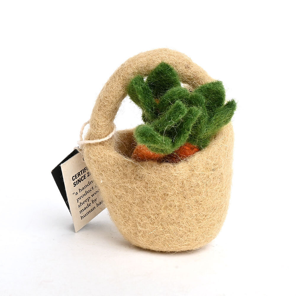 ＜★te-nori限定＞ ノルディカニッセ　北欧からやってきた！ ハグサンタのにんじんおつかいセット