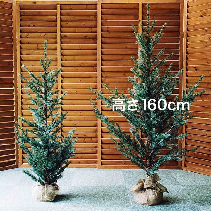 クリスマスツリー160cm＜特典付き＞