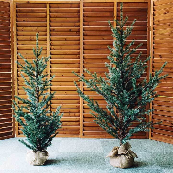 クリスマスツリー160cm＜特典付き＞