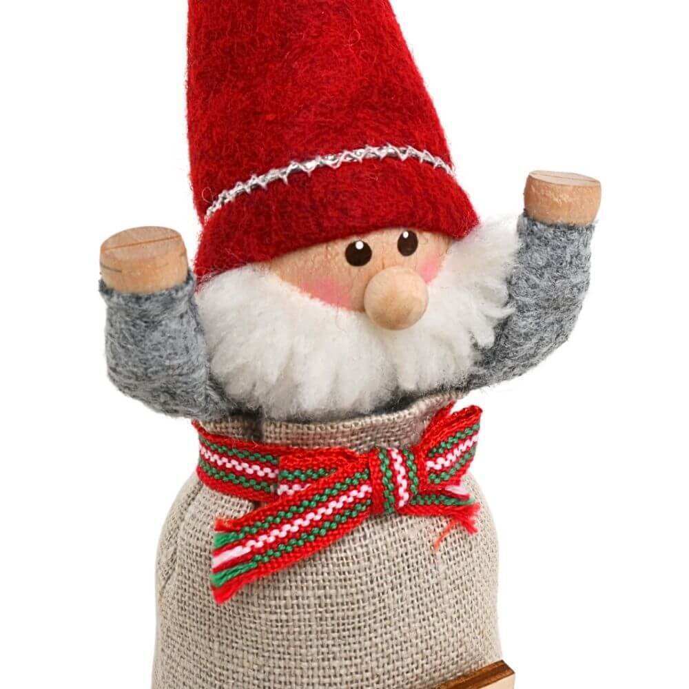 ＜★te-nori限定＞ ノルディカニッセ　星のツリーを楽しむ！ 袋に入ったサンタさんのわくわくクリスマスセット